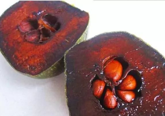 真的是活久见！长成这样居然能吃？