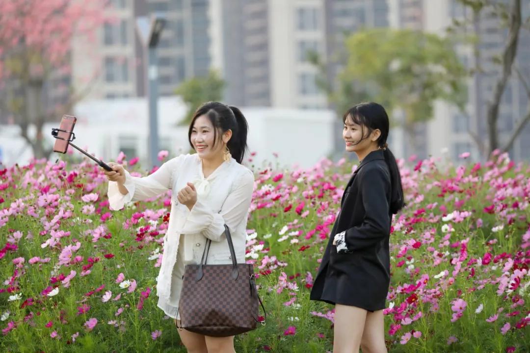 珠海买房过冬真实感受,在珠海买房十大秘诀