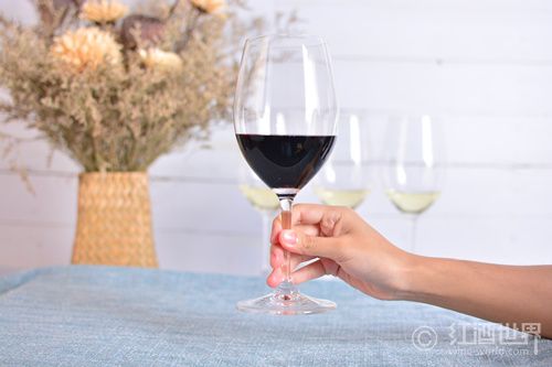 葡萄酒染上白衣服怎么办,葡萄酒会染舌头吗