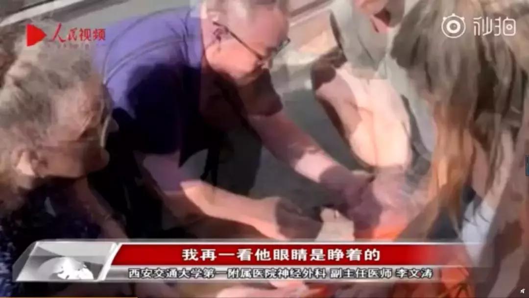 中医中药与日本汉方,日本汉方中药