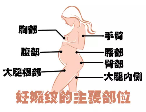 辣妈快速瘦肚子法,辣妈瘦肚腩的最快方法三个动作