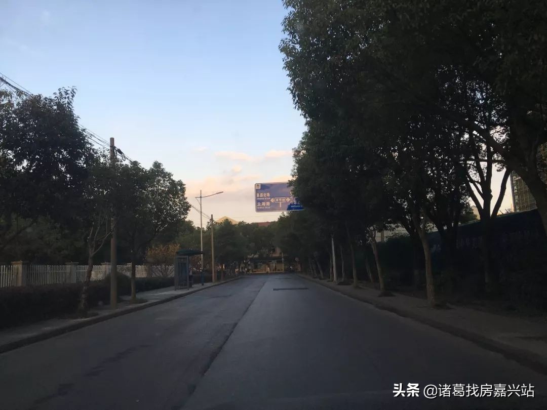 谁在嘉兴黑土地上“种”房子?