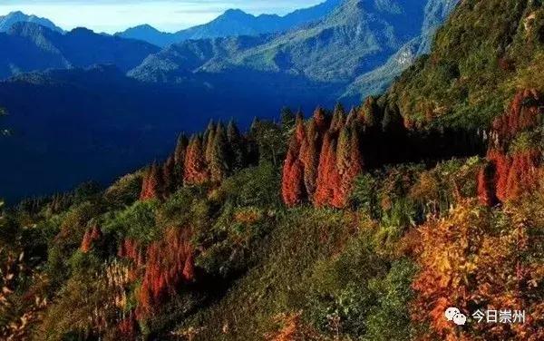 成都的天府公园,四川天府新区的公园城市