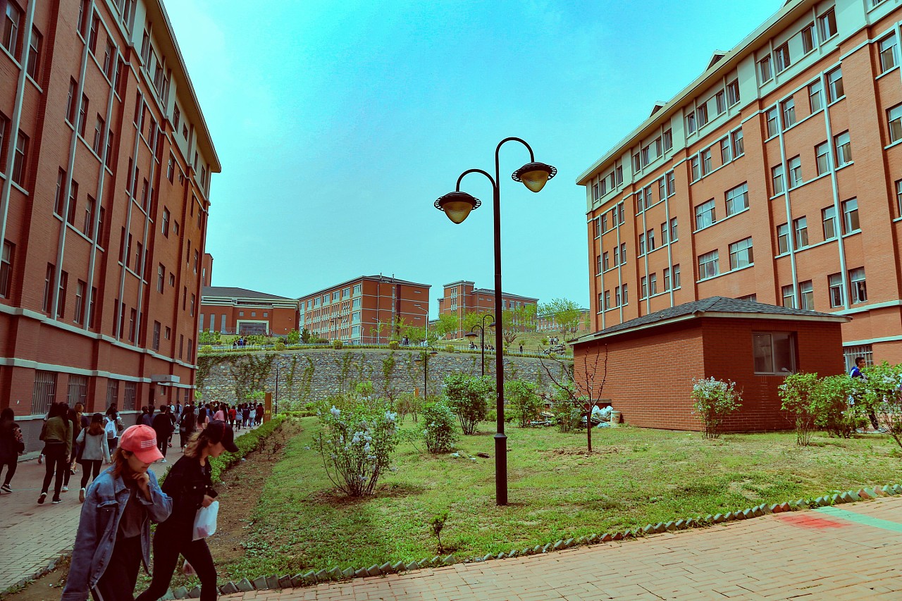 大连艺术学院详解,大连艺术学院值得吗