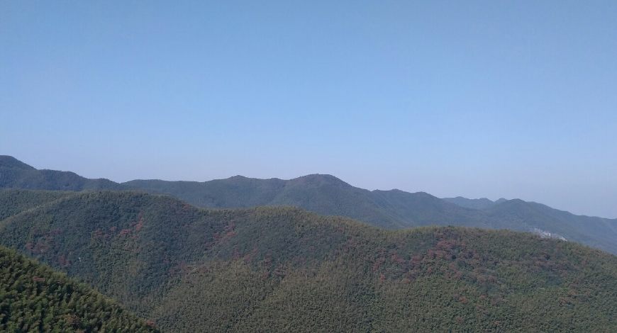 风景秀丽的宜兴竹海,漫步竹林呼吸大自然的清新