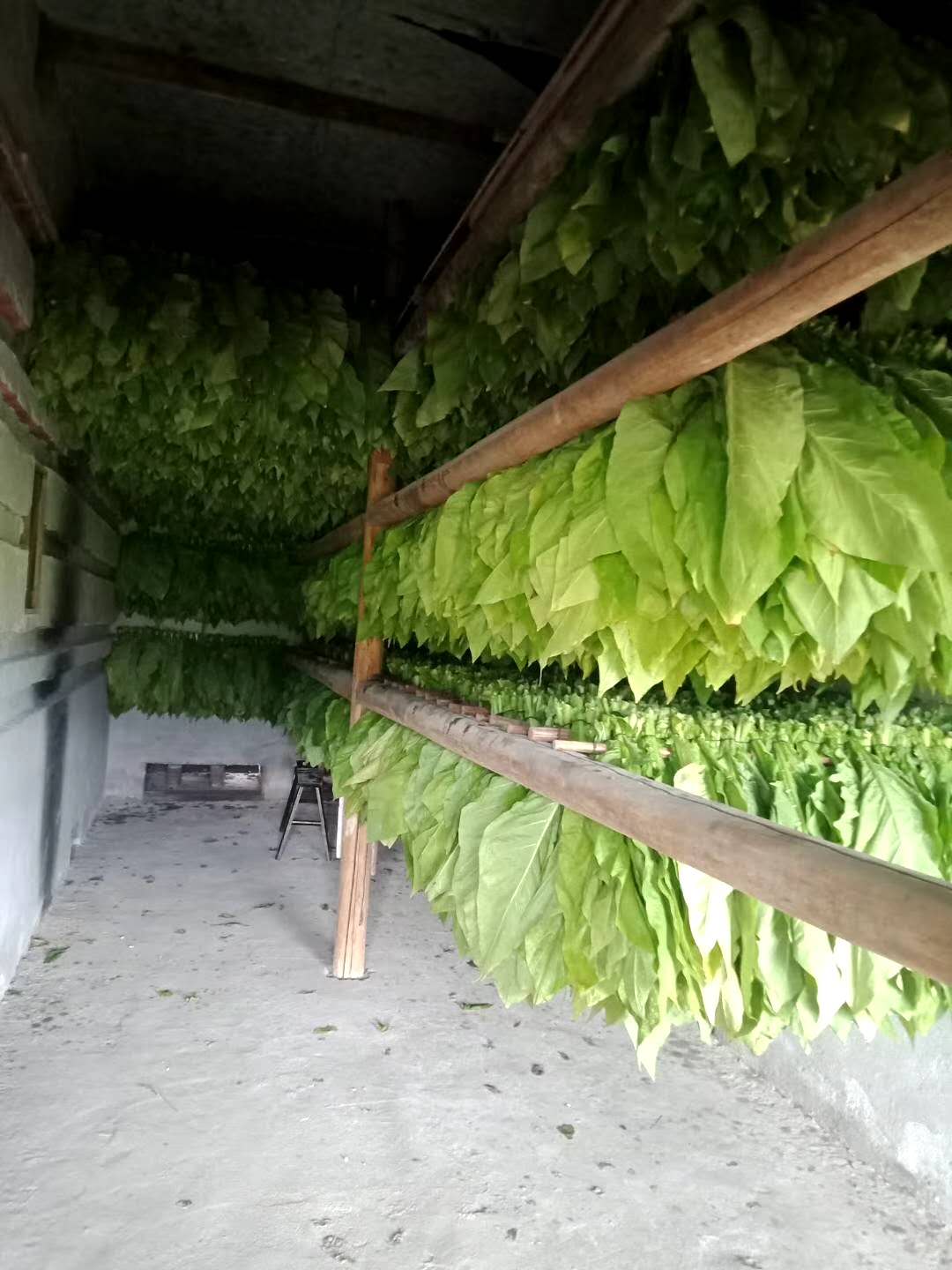 戒烟从少吸到不吸烟对身体更好,戒烟不再吸烟的危害