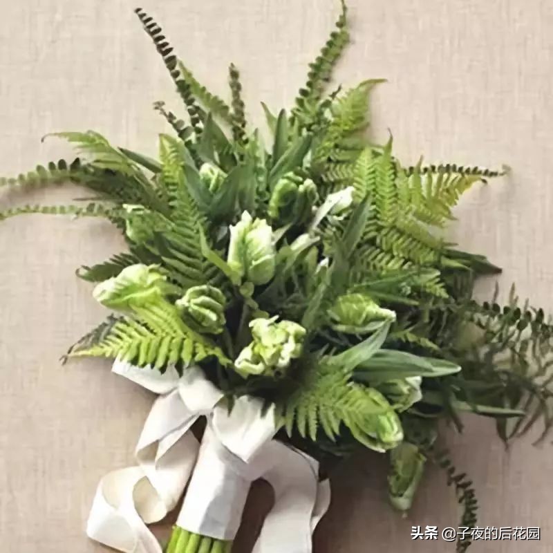 花店常用的配花配草有哪些方法,常见配花配草