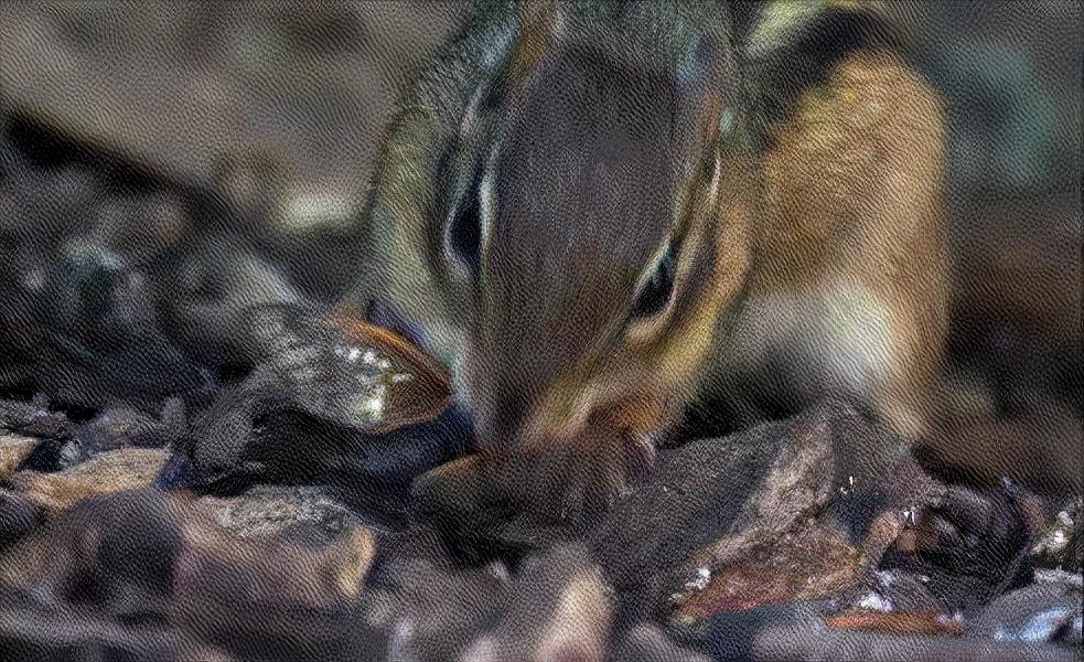 被真菌操控的“僵尸蝉”，腹腔被吃光仍热衷求偶，误食会被感染吗