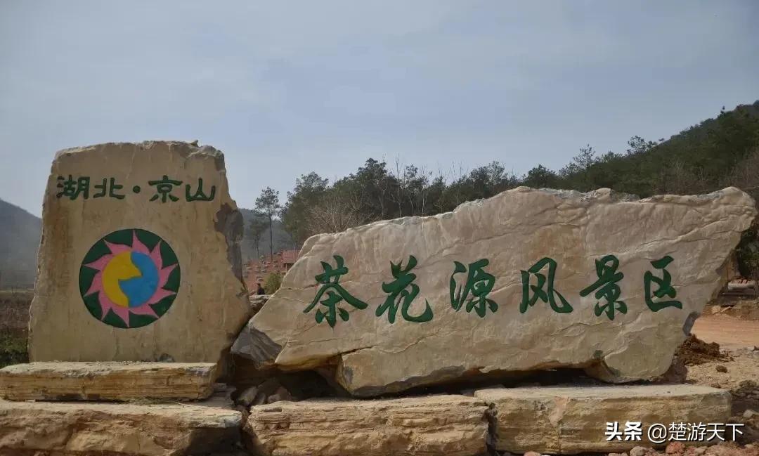 茶花盛开的地方有哪些,湖北有茶花吗