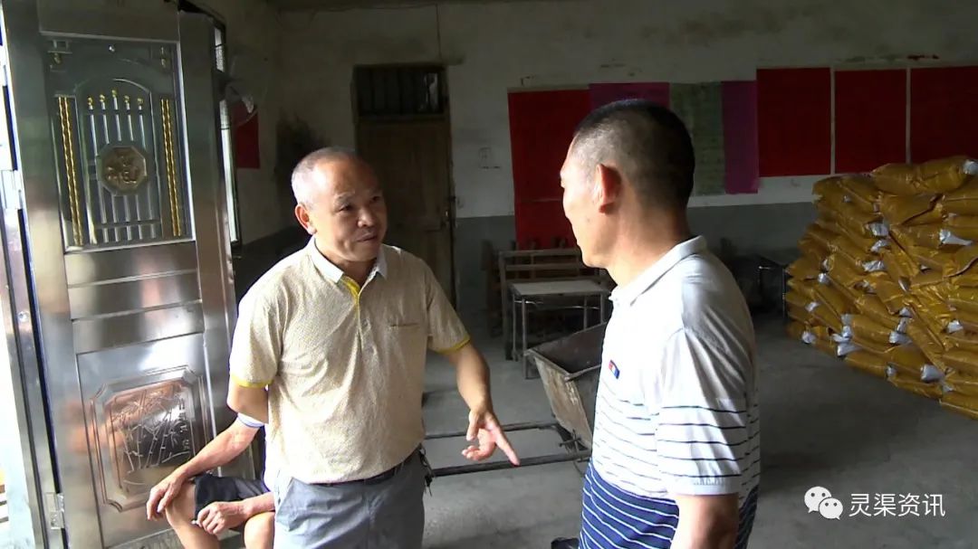 你个笨鸟，这些东西让你全部“弄死了”