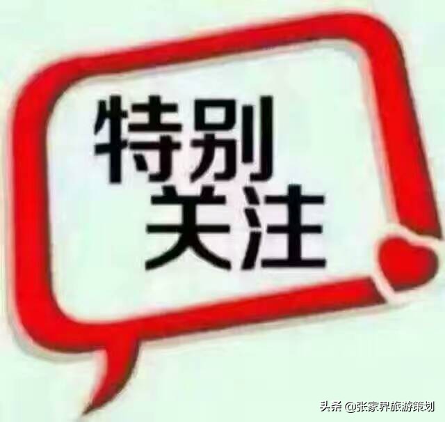 暑假到张家界旅游带什么,暑假可以去张家界旅游吗