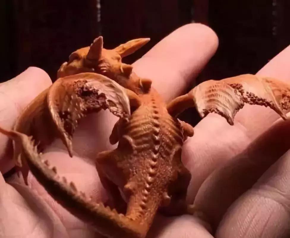 价值240万非洲的原木,雕刻成品出来后震惊全场,一片心疼声!