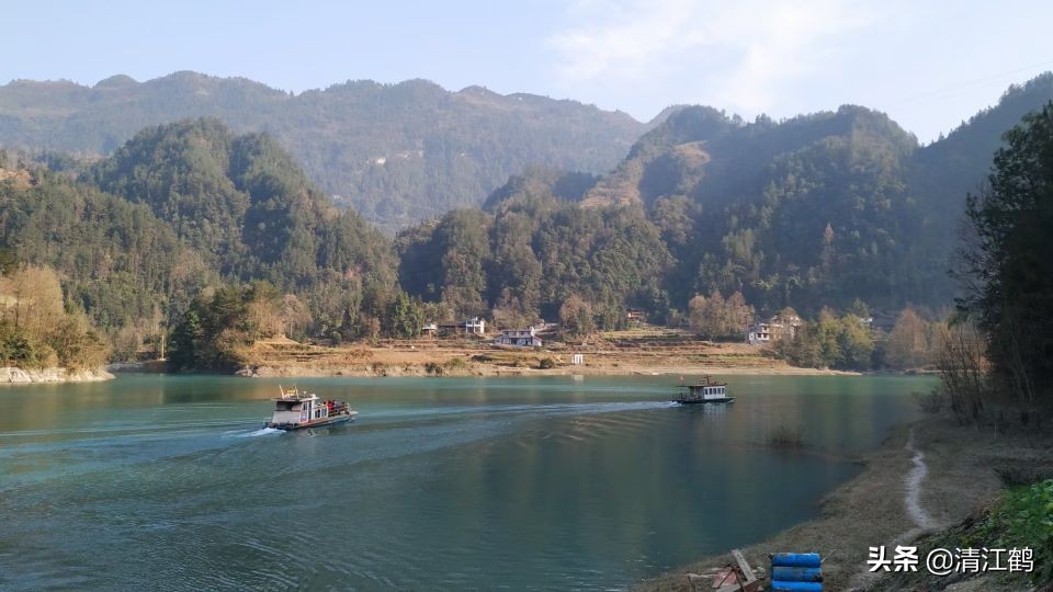 农村末来最有希望的行业有哪些,未来五年什么农村行业最有前景