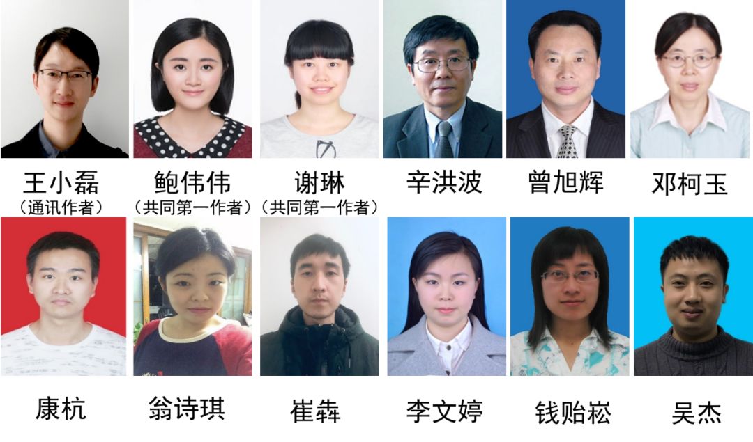 男性避孕药研发团队,男性避孕药研制