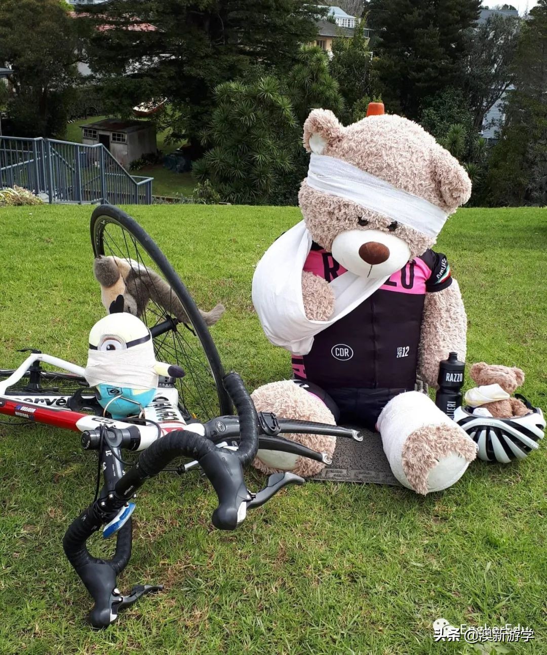 封城期间，玩偶一家的生活大揭秘