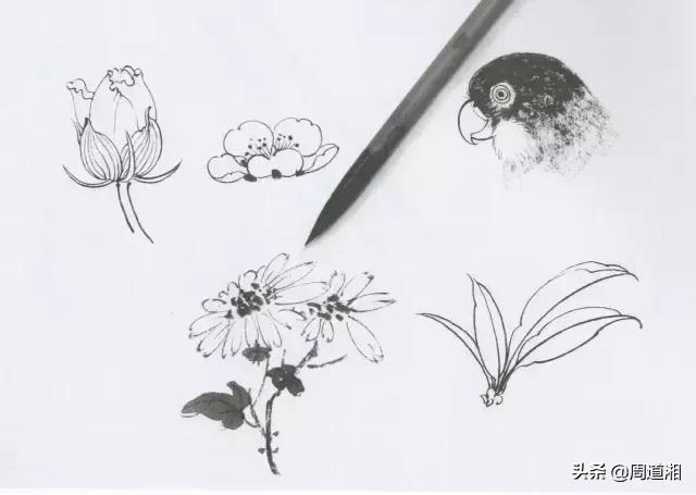 勾线笔每个型号的用处,最常用的勾线笔