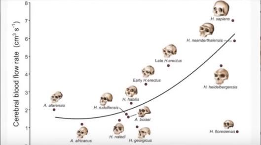 蔡志忠一天只吃一顿饭不生病,蔡志忠46天不吃饭
