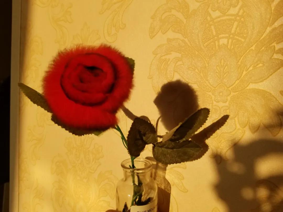 记忆安徽宣城,记忆安然