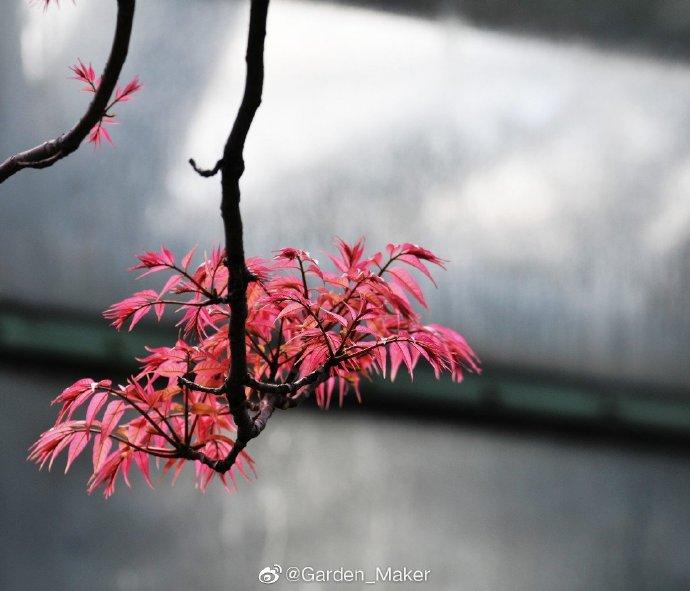 中考语文阅读理解专题训练题及答案,中考语文阅读理解专题训练