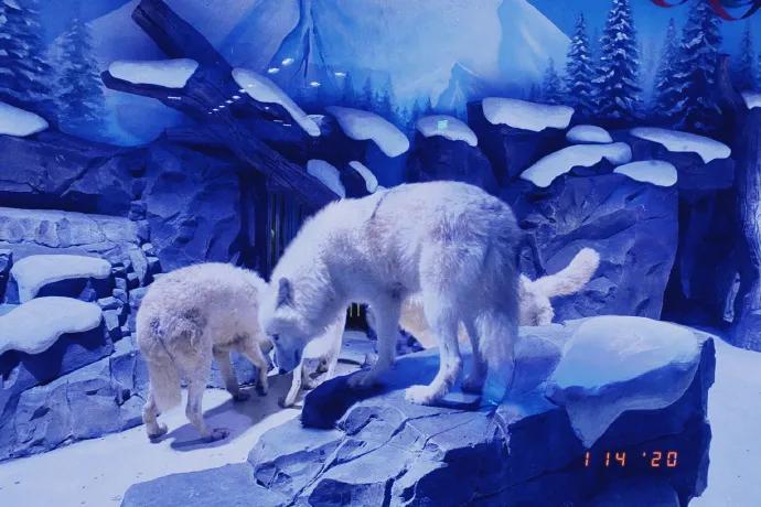 推荐最好玩的乐园,有没有值得玩的地方推荐一下