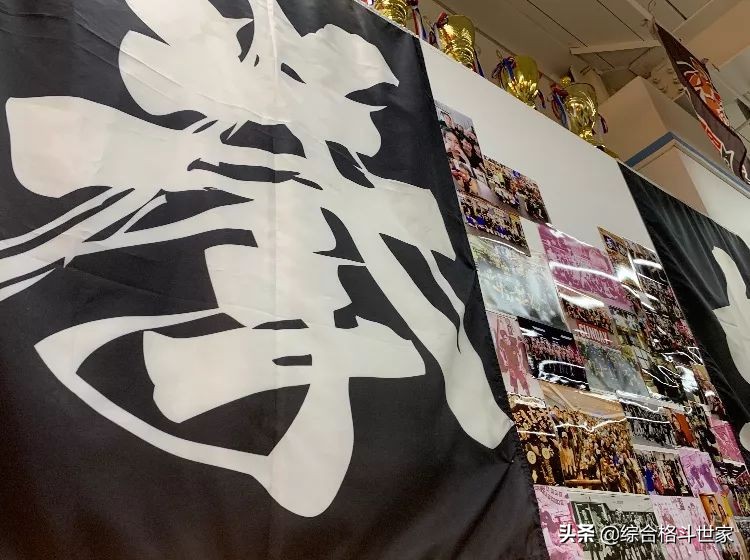 超帅的格斗招式动漫,动漫中强大的格斗术