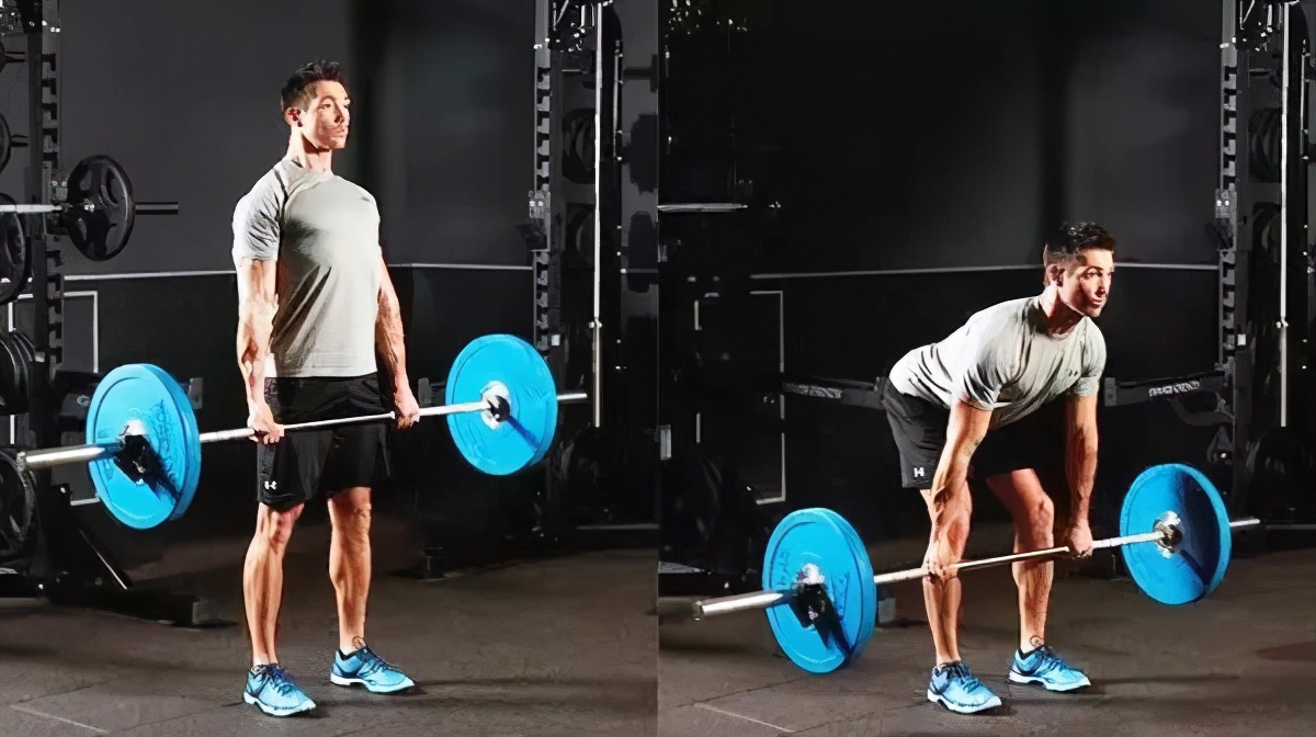 8个经典的背部训练动作,全方位背部肌肉训练视频