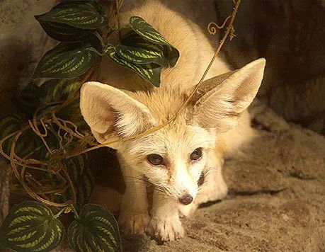 八大主题海洋乐园,全球十大不可思议的水上乐园