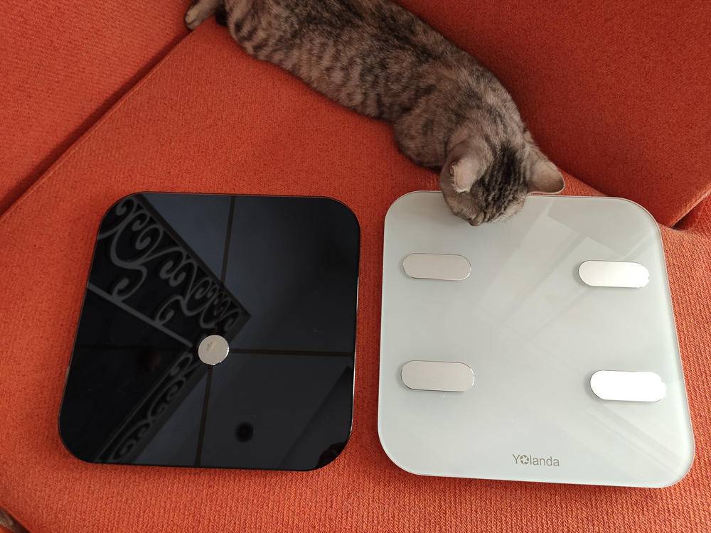 云康宝体脂秤蓝牙和wifi区别,云康宝和华为八电极体脂秤评测