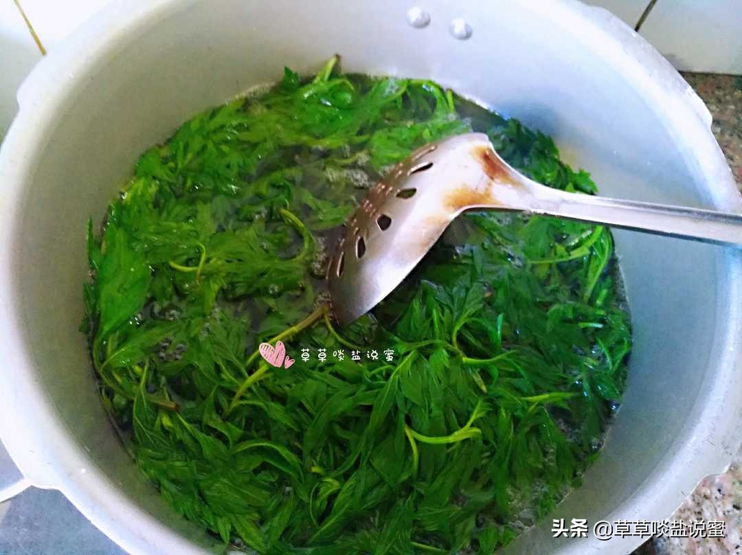 野外的艾草怎样处理才能有药效,新鲜艾草怎么保存