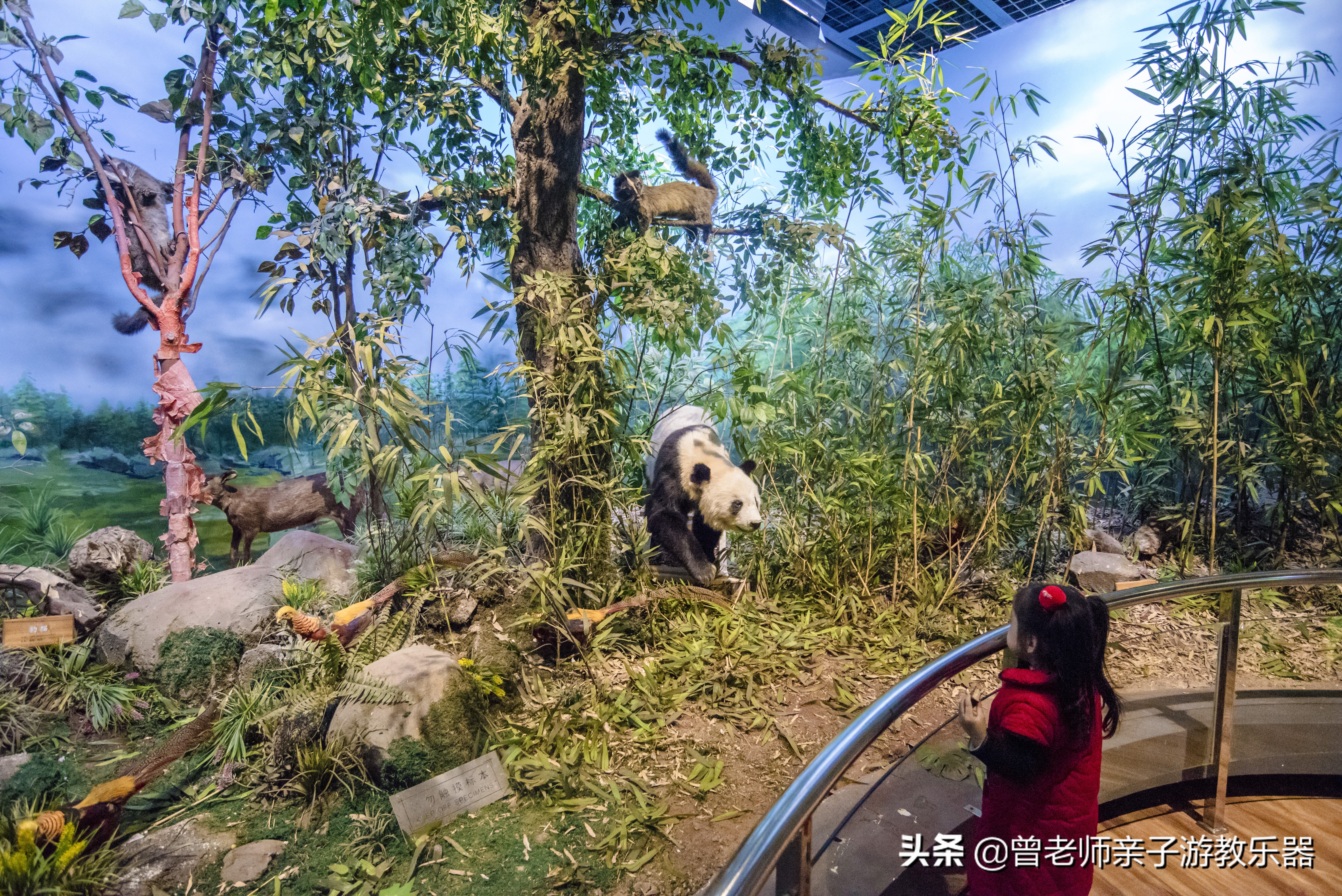 西安遛娃夏日,国庆西安周边2-3天溜娃