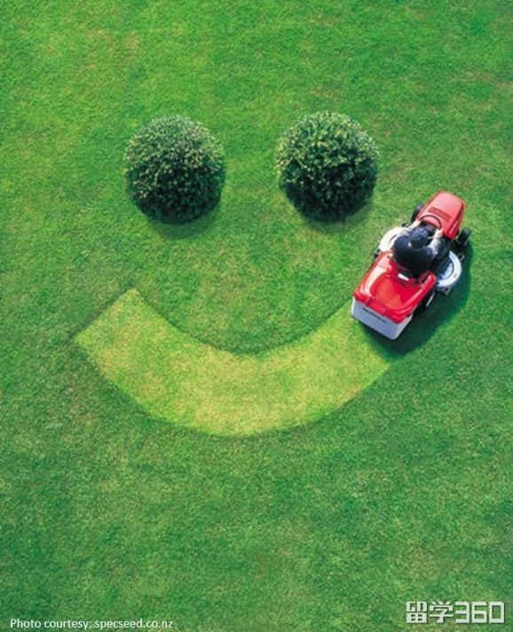 知否知否?高颜值的新西兰还是黑科技好手!