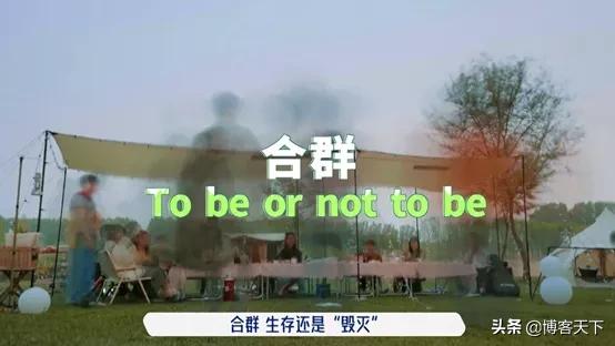 50公里桃花坞看哭了,五十公里桃花坞观后感