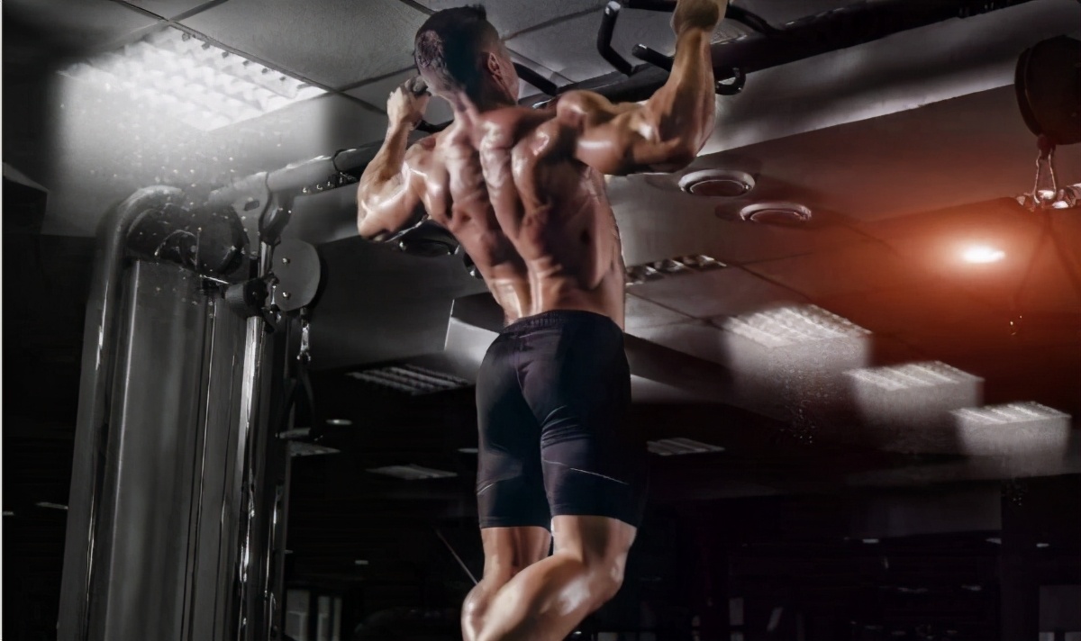 背部训练健身体式动作图解,健身背部训练背背佳