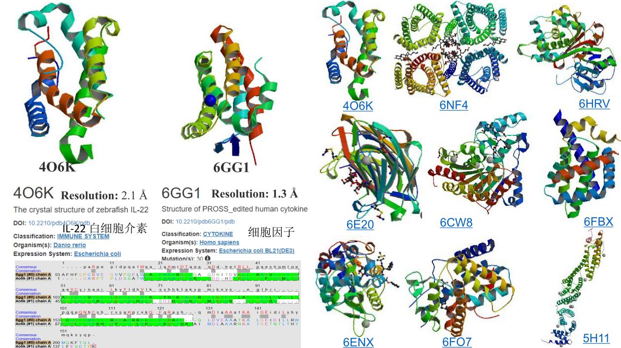 子曰唯小人和女人难养也译文,子曰唯小人与女子难养也什么意思