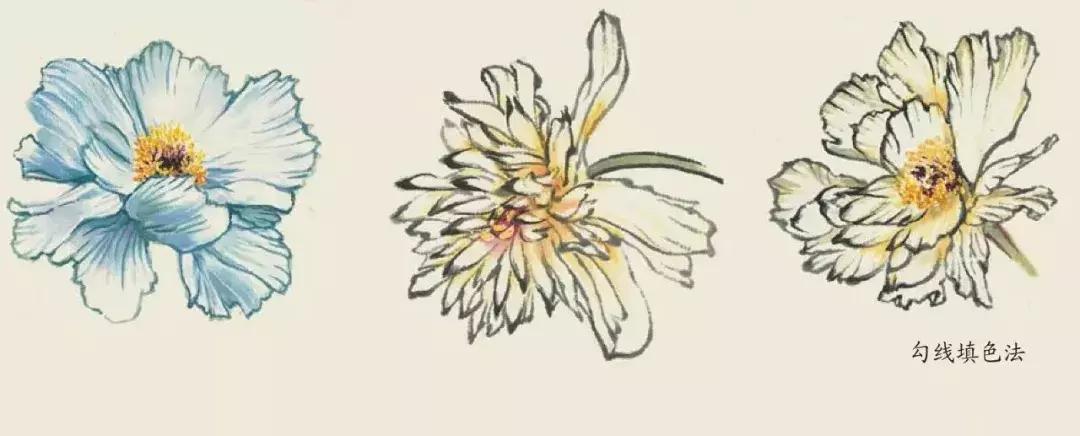 国画团扇花卉画法,国画中常见花卉的画法