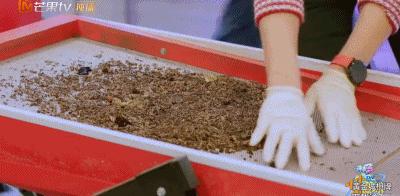 笑完后才发现的真实事件,笑完后才发现原来说的那么真实