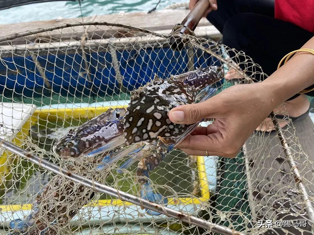 三亚不值得去的景点有哪些,三亚不值得去的景区