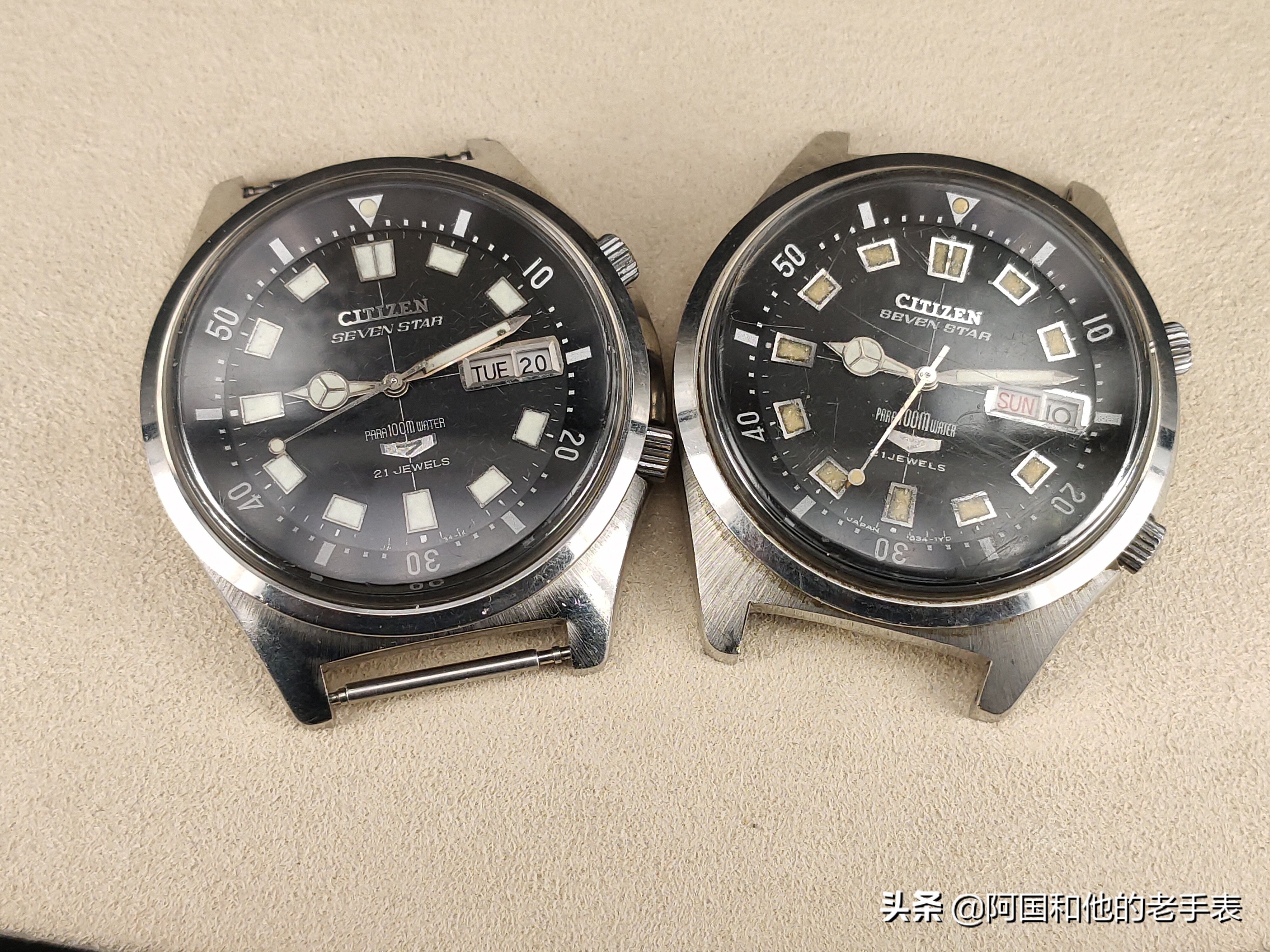 50年后的相见两只西铁城水鬼