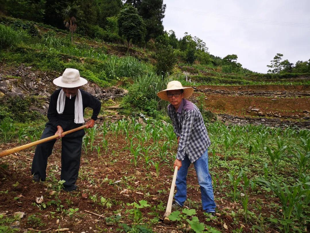 张家界吉他手工制作,张家界手工吉他