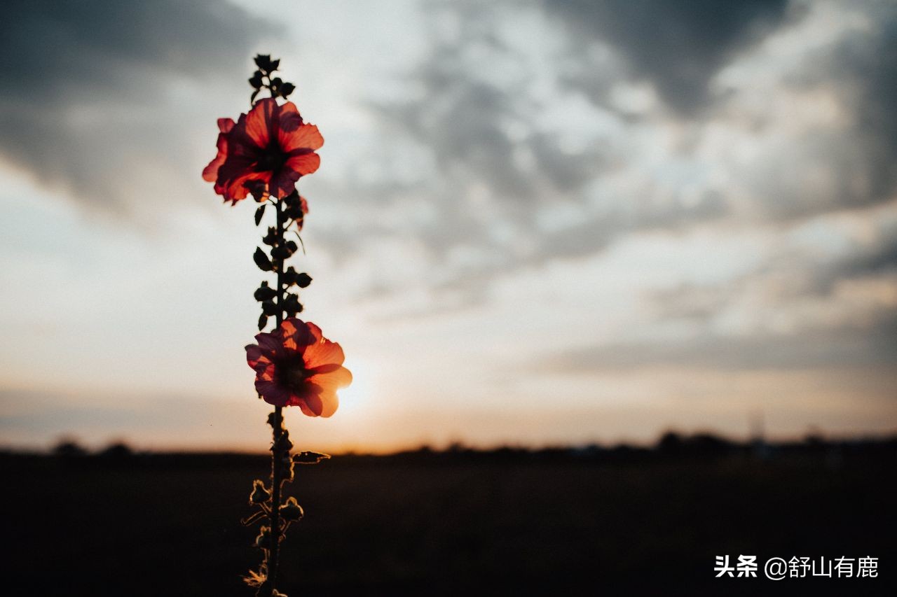 人在职场被同事孤立了怎么办,在单位被人排挤的表现