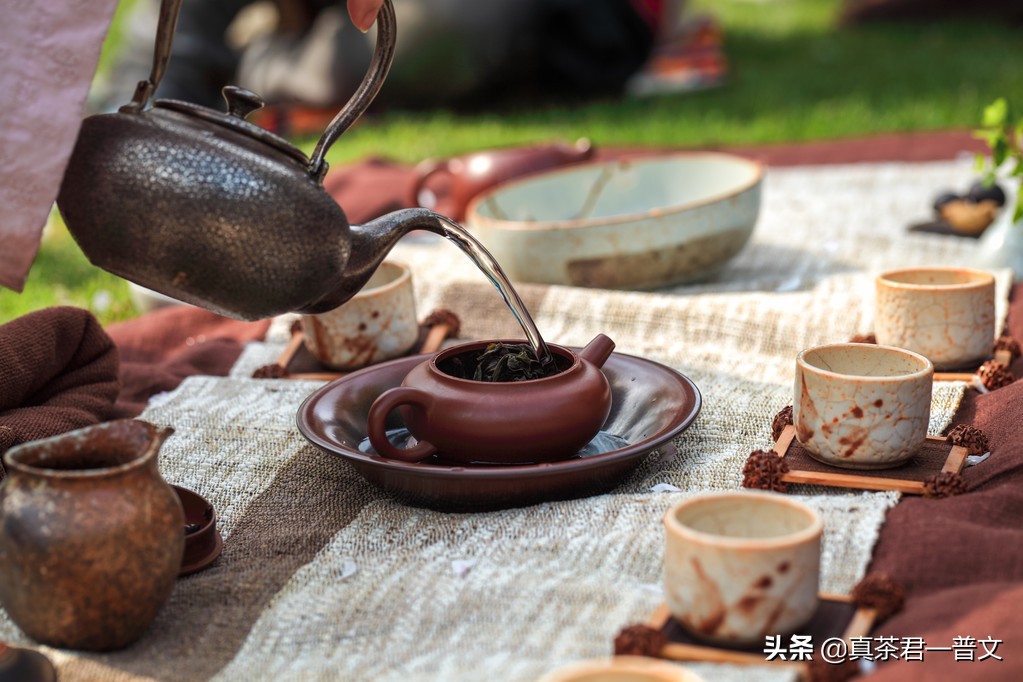 为啥云南人不喝普洱茶,云南人为什么不喝茉莉花茶