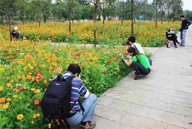未来几年农村创业好项目有哪些,未来农村最好的行业有哪些