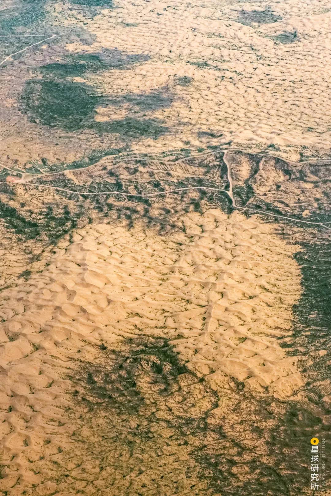 中国植树造林面积,中国植树造林成果国外有什么看法