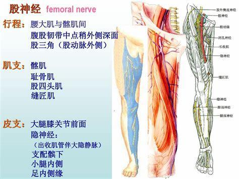 术后3个月出现并发症,手术后多久就不会有并发症了