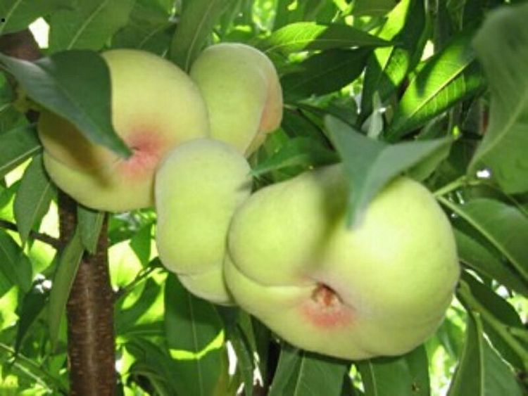 *疆新**是个好地方作者:刘尊鑫