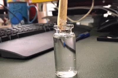 乐趣升级，玩法不重复，爆红的Batbunny彩虹盒子二代来啦