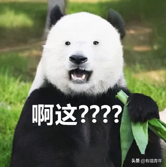 12个动物啪啪啪知识，最后一个想笑死谁？