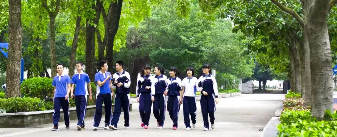 深圳ib国际学校排行榜,深圳市石岩公学ib国际部