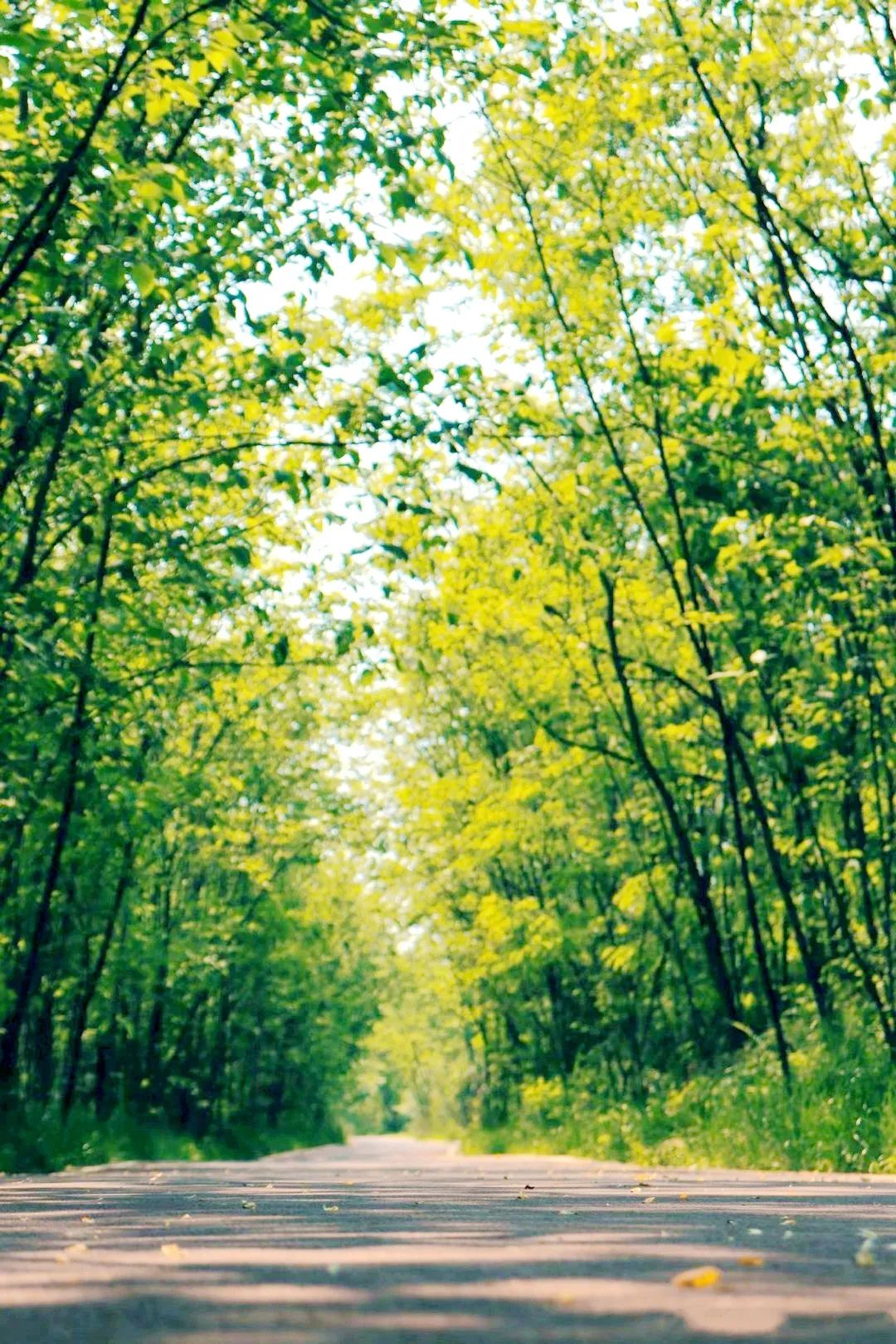 成都城市绿道,成都被山包围