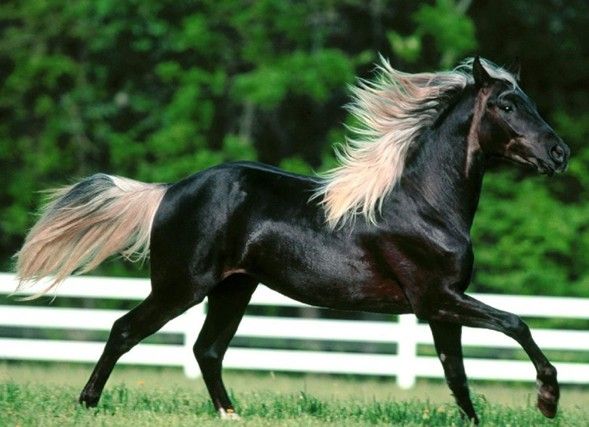 高考黑马的10个征兆,高考中的黑马的例子